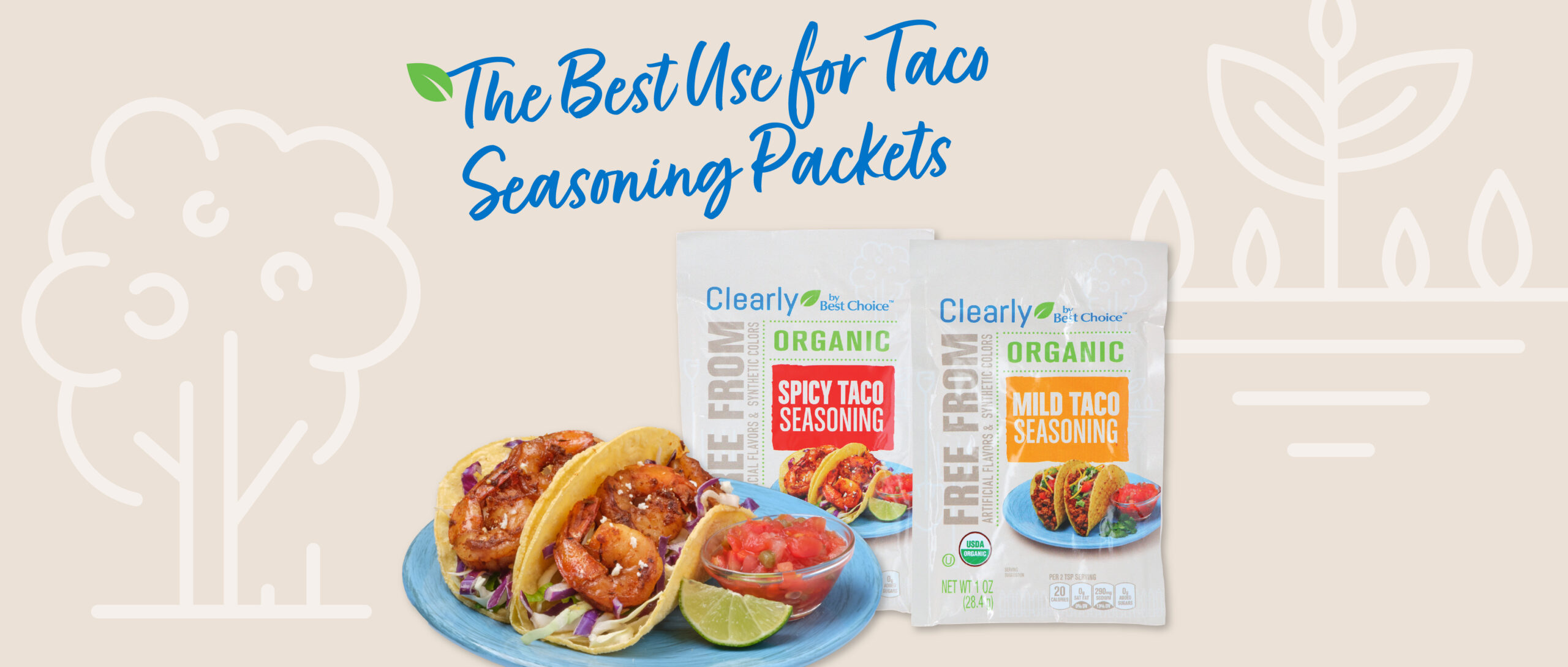 May 2025 Taco Seasoning Blog Post