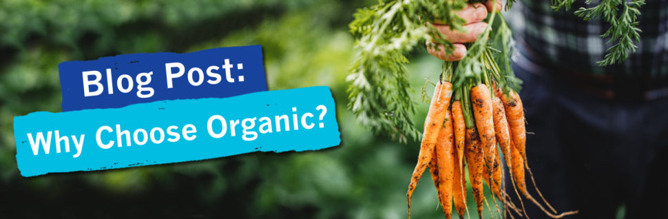 Why Choose Organic? 