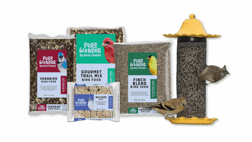 May 2025 Guide to Bird Feeder Foods Blog Post