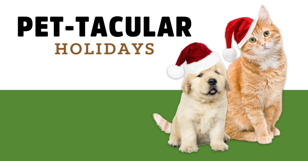 Dec 2025 Blog Post of the Month