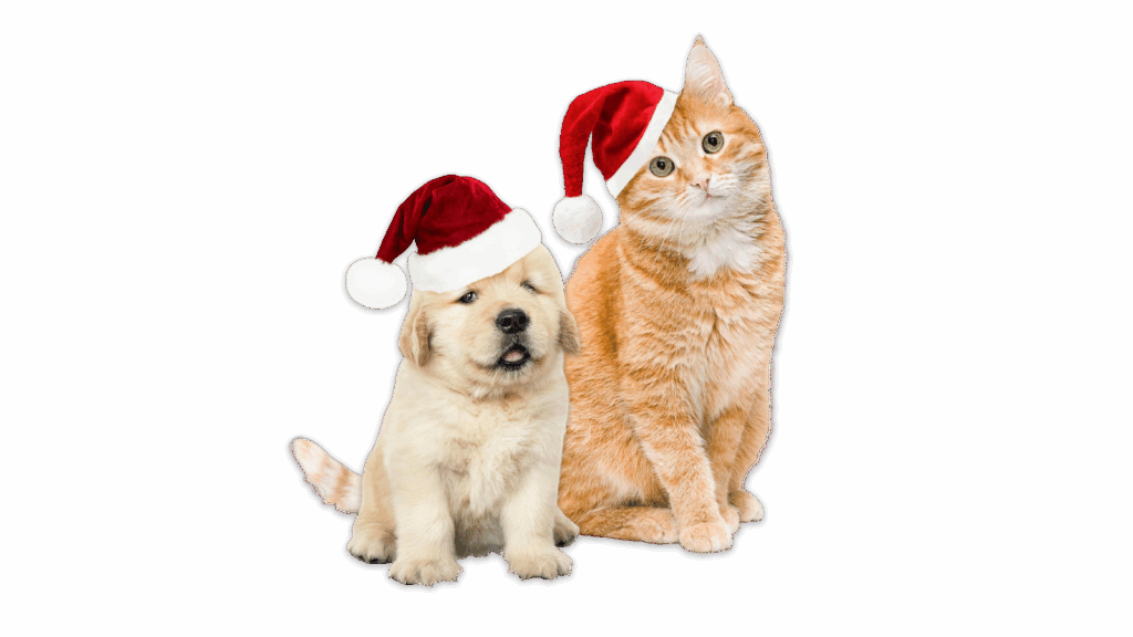 Dec 2025 Pet-tacular Holidays Blog Post Header