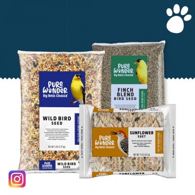 Website Social Images Instagram 1