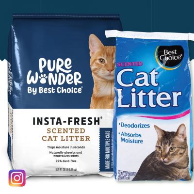 Website Social Images Instagram 2